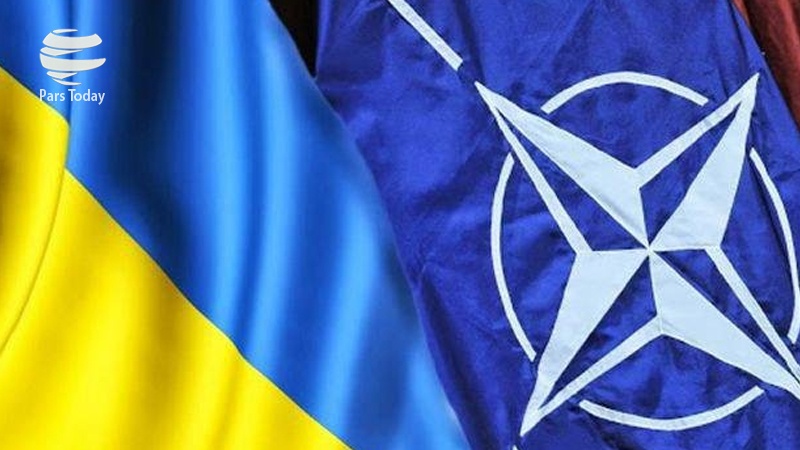 Ukrayna'nın NATO hayalleri