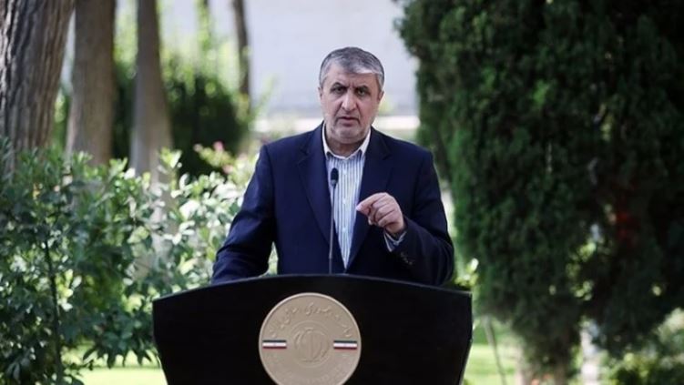 ایران میں ایٹمی بجلی گھر کی تیز رفتار تعمیر و ترقی کے عمل کا آغاز