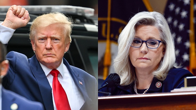 Намояндаи Ҷумҳӯрихоҳ: Трамп фоқиди салоҳият барои раёсатҷумҳӯри аст