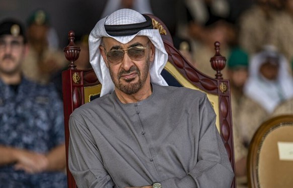 القضاء الفرنسي يغلق ملف دعوى ضد رئيس الإمارات على خلفية حرب اليمن