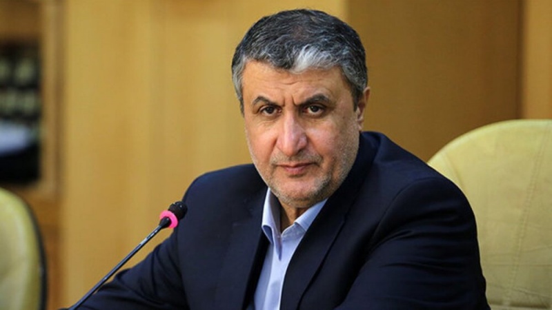 Eslami: Eine Resolution gegen Iran wird nicht helfen die bestehenden Probleme zu lösen
