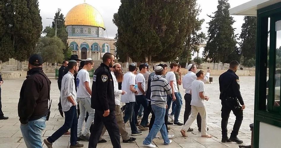 Over 100 extremist Jewish settlers defile Aqsa Mosque