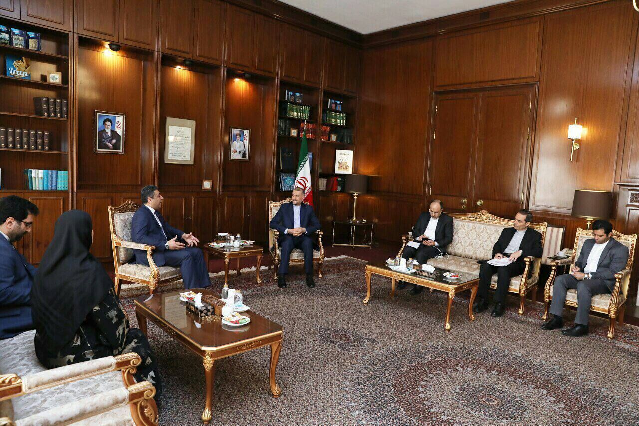 Zionist regime facing multifaceted problems: Amirabdollahian
