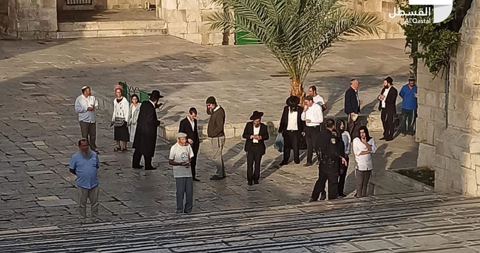 Over 100 extremist Jewish settlers defile Aqsa Mosque