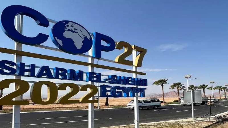 Ini Tiga Pandangan Indonesia dalam COP27 Mesir