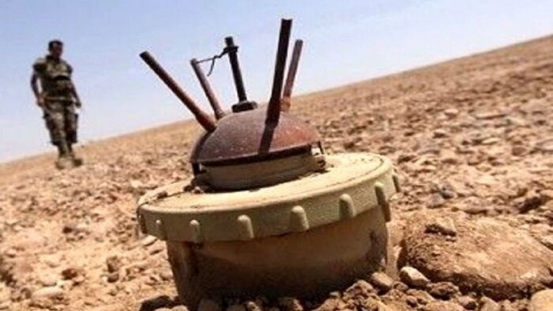 サウジ主導アラブ連合、イエメンで米製武器を使用