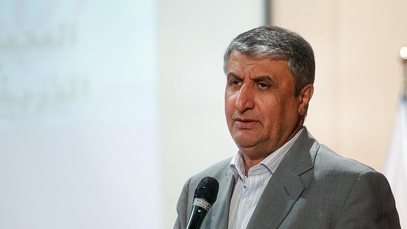 イラン原子力庁長官、「わが国の核活動は全てIAEAの監視下で実施」