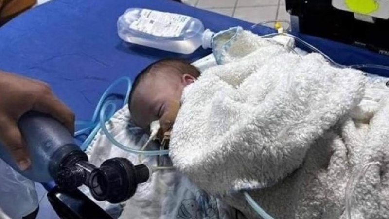 聖地で、イスラエル軍によりパレスチナ人乳児が殉教