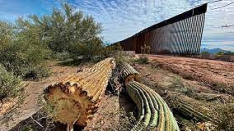 Forte critica ai difensori ambientali del muro tra Usa e Messico Forte critica ai difensori ambientali del muro tra Usa e Messico