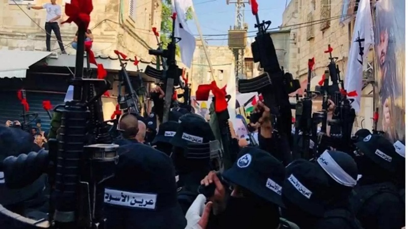 Страх сионистов перед формированиями "Эрин аль-Асвад" на Западном берегу