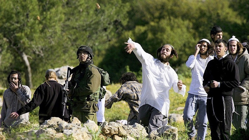 Territori occupati, l'ONU denuncia attacchi di coloni contro i palestinesi Territori occupati, l'ONU denuncia attacchi di coloni contro i palestinesi