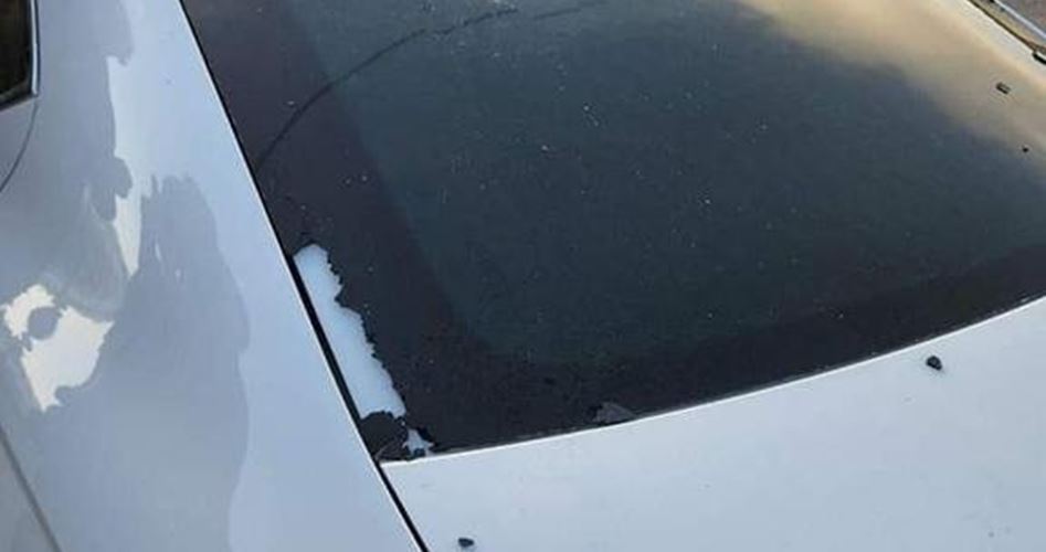 Extremist settler injured in shooting operation near Nablus