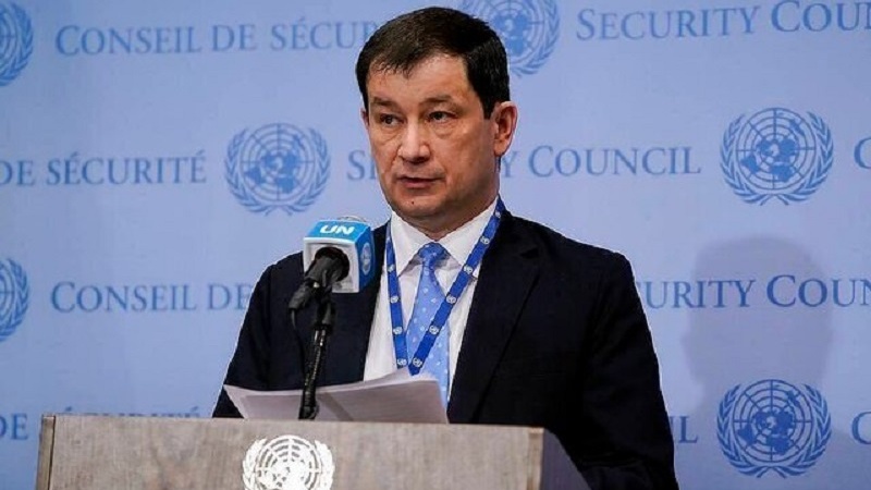 Полянский: Россия использует только российские беспилотники в Украине