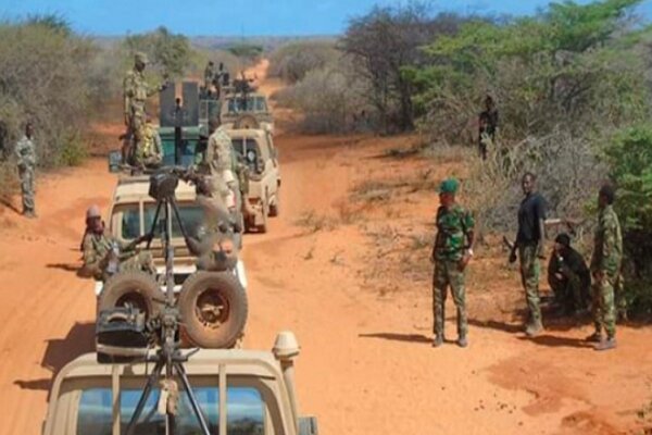 Over 100 al-Shabab terrorists killed by Somali forces