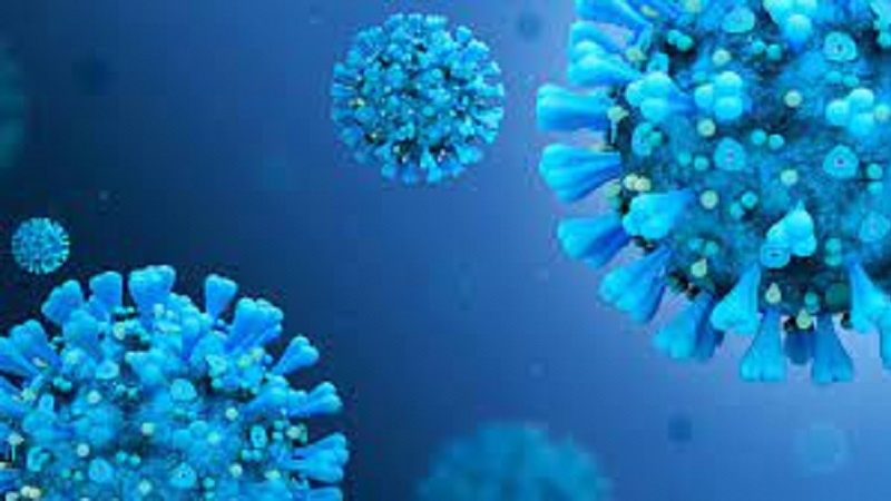 Inghilterra; scoperta di due nuovi ceppi di Coronavirus