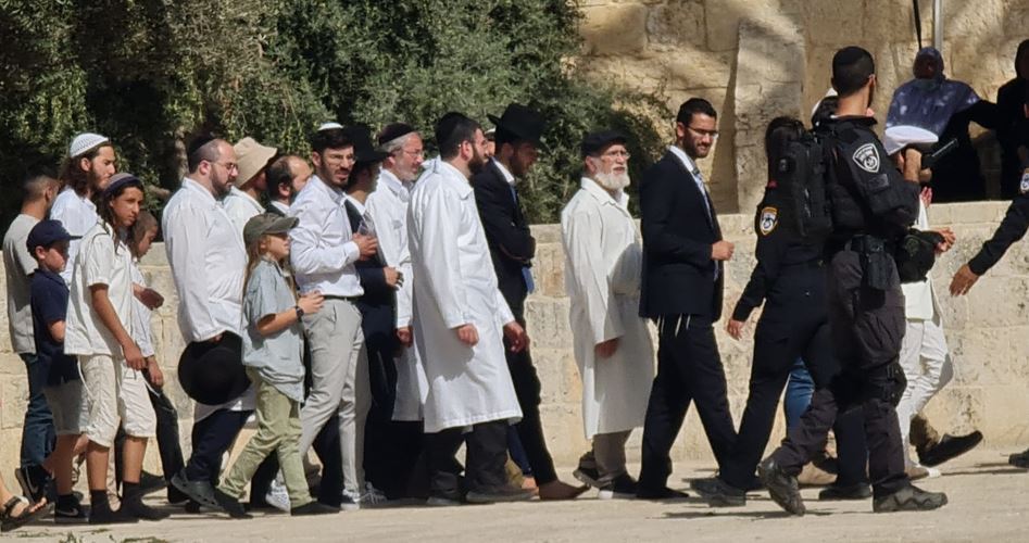 Over 150 extremist Jewish settlers defile Aqsa Mosque