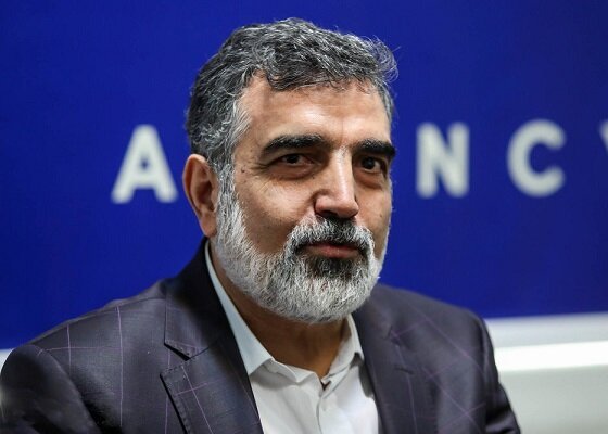 إيران تعاونت مع الوكالة / مواقف الوكالة مسيسة وتخدم المصالح الصهيونية