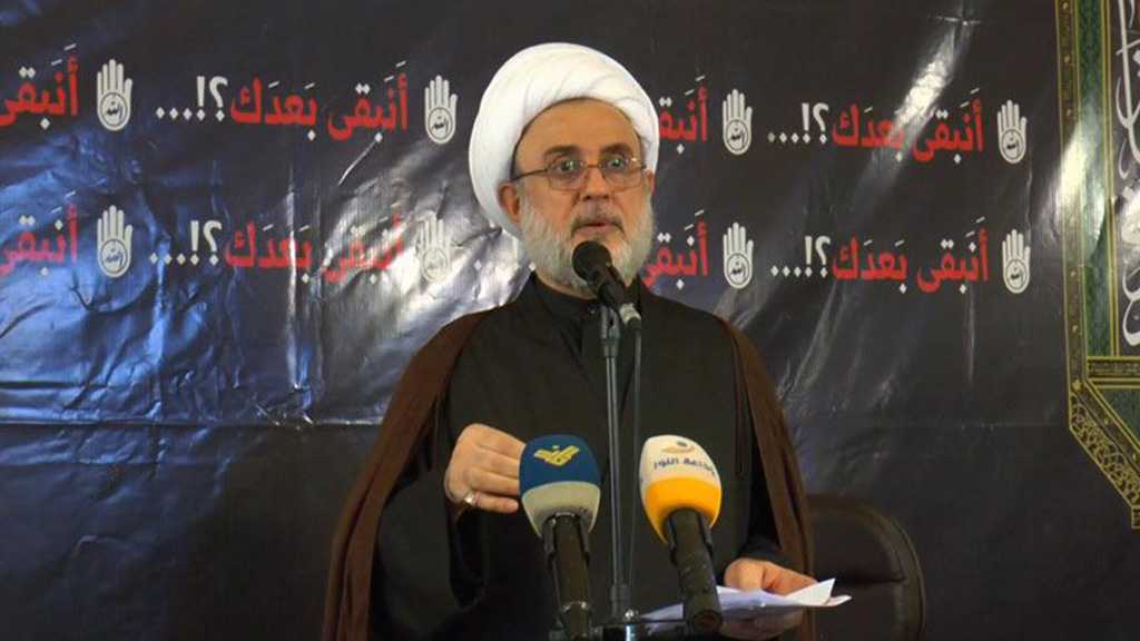  Top Hezbollah official: US interference in Lebanon making matters worse as Presidential Election nears