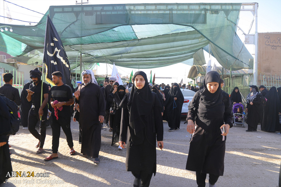 تقرير مصور / مشاية الأربعين الحسيني من النجف الأشرف نحو كربلاء المقدسة