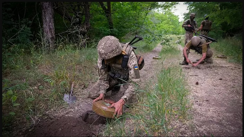Военное обучение Британией украинских граждан