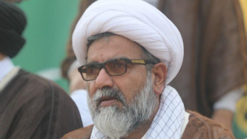 Countries of resistance axis must be strong, united, coherent: Raja Nasir Abbas Jafri