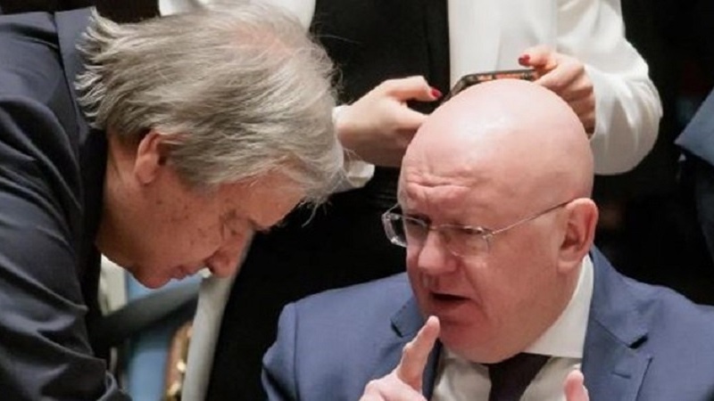 США признались в неизбежность принятия председательства России в Совете Безопасности