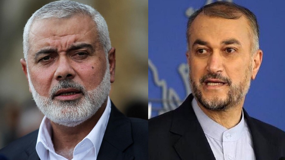 Iran to continue spiritual, political support for Palestine: FM