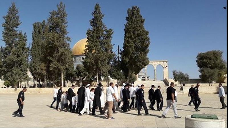 Предупреждение Европейского фонда о нападениях сионистских захватчиков