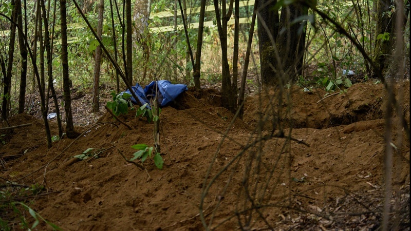 Обнаружение 26 тел в тайных могилах в Мексике