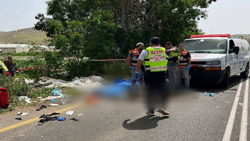 Two Israeli settlers killed in occupied West Bank shooting