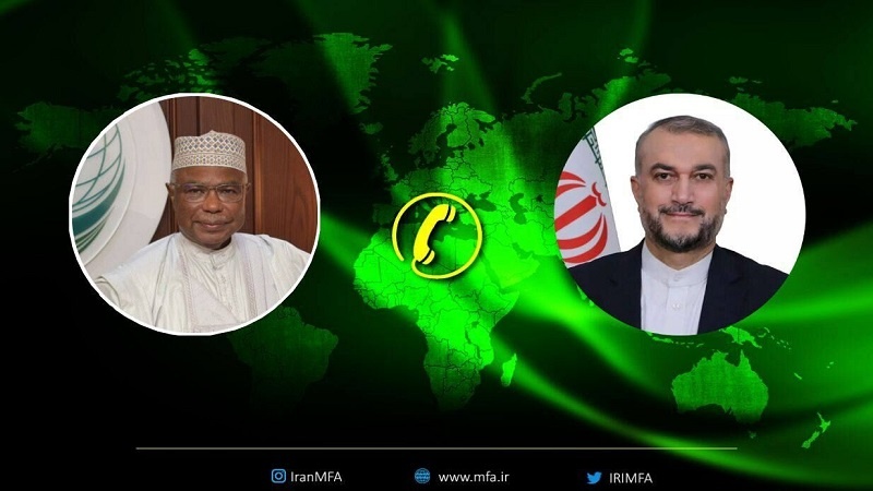 Menlu Iran Usulkan Sidang Darurat OKI Bahas Kejahatan Terbaru Rezim Zionis