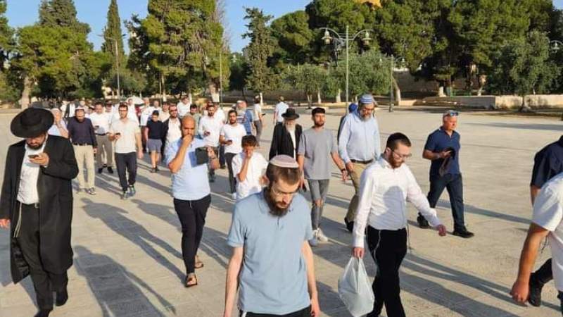 المستوطنون يواصلون تدنيس المسجد الأقصى المبارك