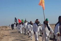 بعد 56 يوما من المشي.. زوار مدينة مشهد يصلون الی البصرة