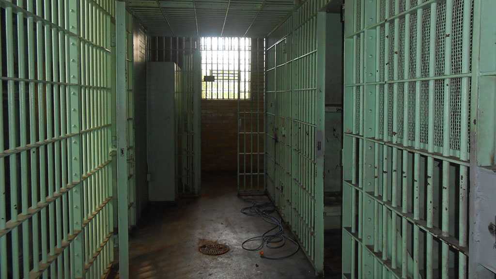 Number of prisoners on hunger strike in Jaw Prison increases to 804