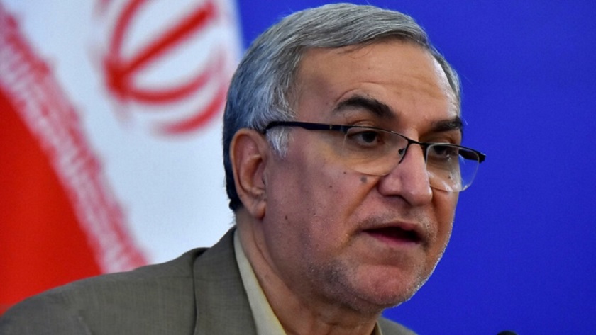 Iran's Health Minister emphasizes treating injured Arbaeen pilgrims in Dhiqar accident