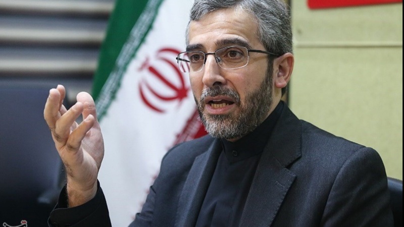  Bagheri Kani: La lotta al terrorismo è una necessità internazionale
