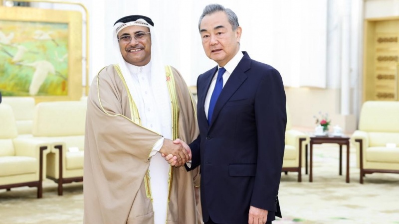  中国外相、「西アジアは大国の裏庭にあらず」