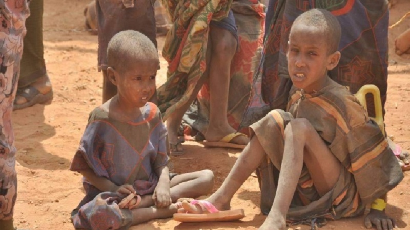  Предупреждение УВКБ ООН о гуманитарном кризисе в Нигере