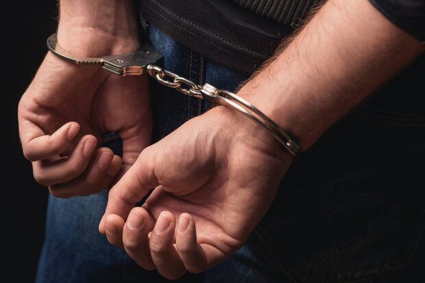 Member of MKO terrorist group detained in SE Iran