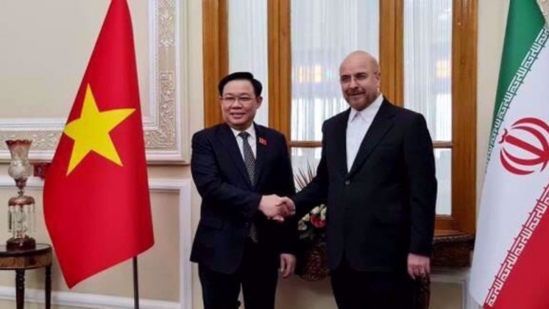 加利巴夫：发展与东亚的关系是我国外交政策的首要任务