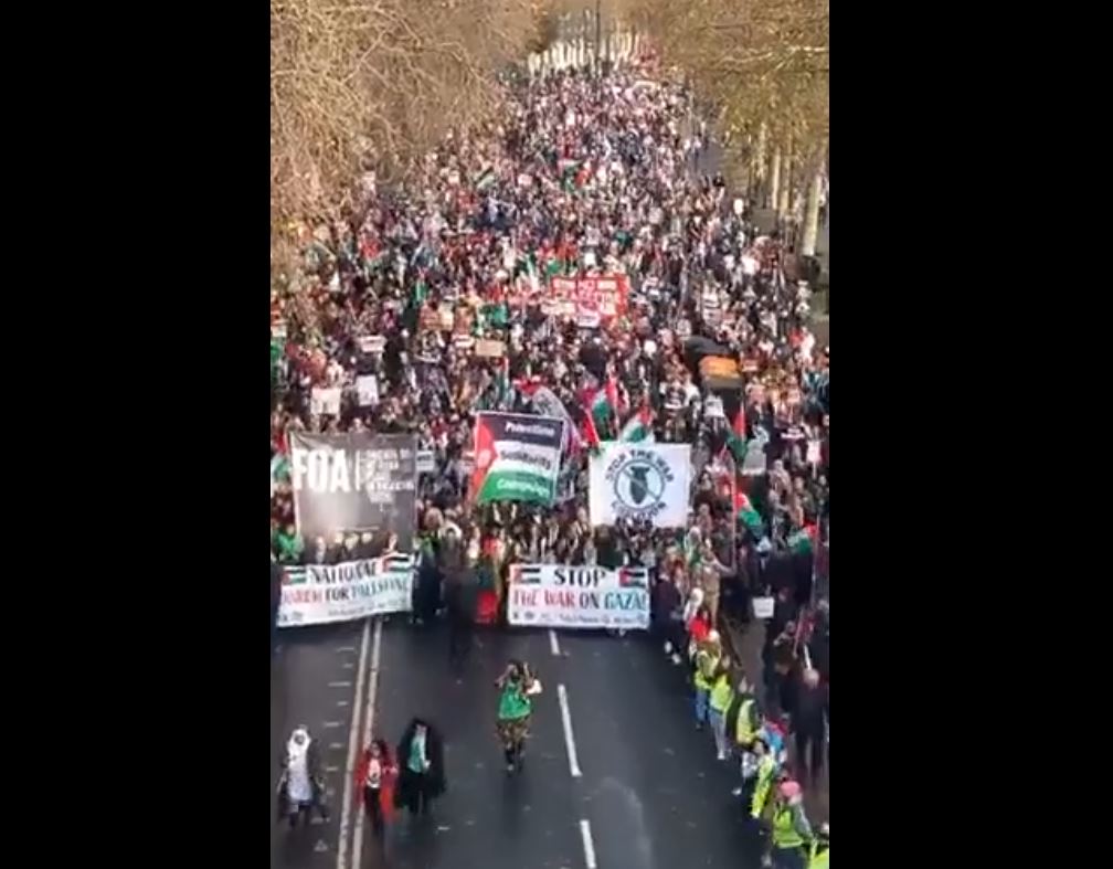 Video: A massive rally in London solidarity with Palestine and against Israeli aggression on Gaza