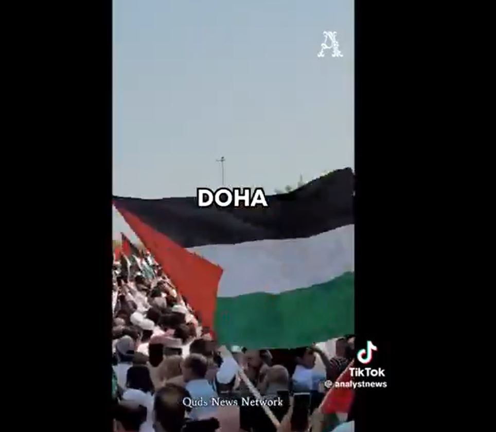 Video: People from all over the world stand in solidarity with Palestine, calling for a ceasefire