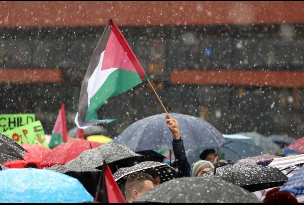 Video: Massive Pro-Palestine demonstration in a cold and snowy weather of Sarajevo, Bosnia