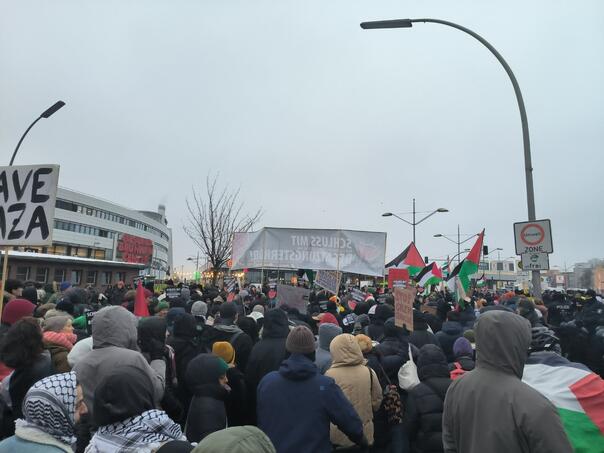 Hiljade ljudi na maršu podrške Palestini u Njemačkoj