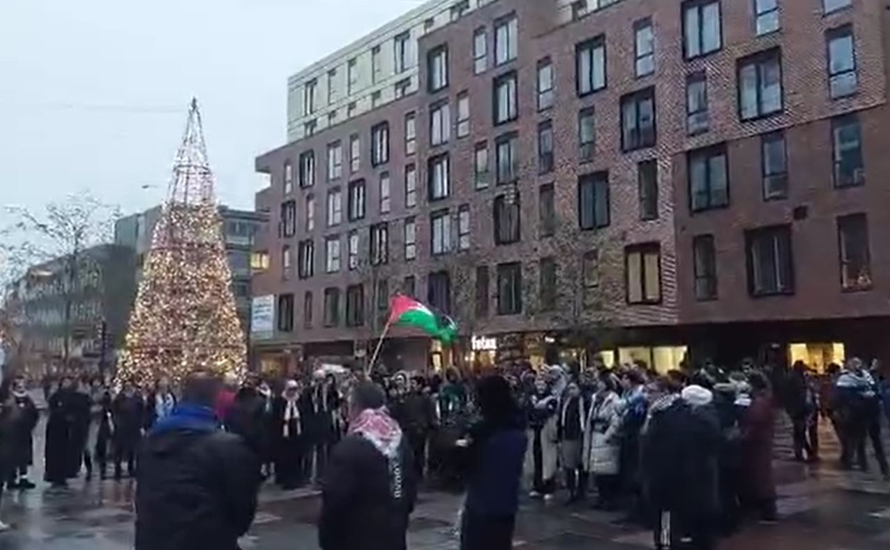 Video: Solidarity with Palestine and denouncing Israeli aggression on Gaza in Odense, Denmark