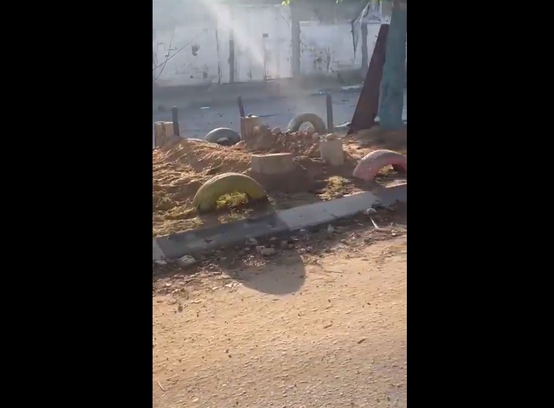 Video: Palestinians bodies buried under trees in streets due to Israeli siege and bombardment of Gaza