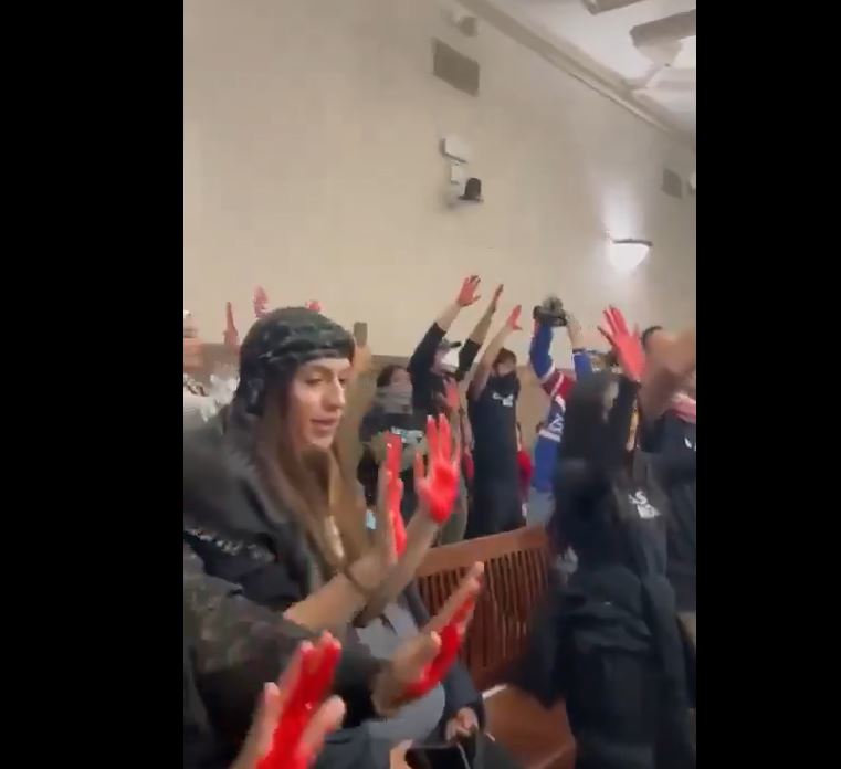 Video: Activists in Rochester, NY shut down Monroe County budget hearing, chanting ceasefire now