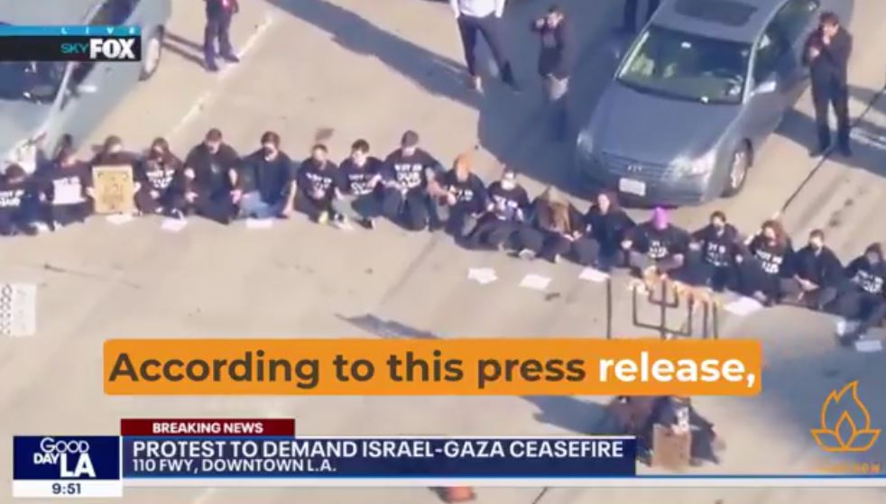 Video: LA police arrested Jewish Americans, who demanding a ceasefire in Gaza 
