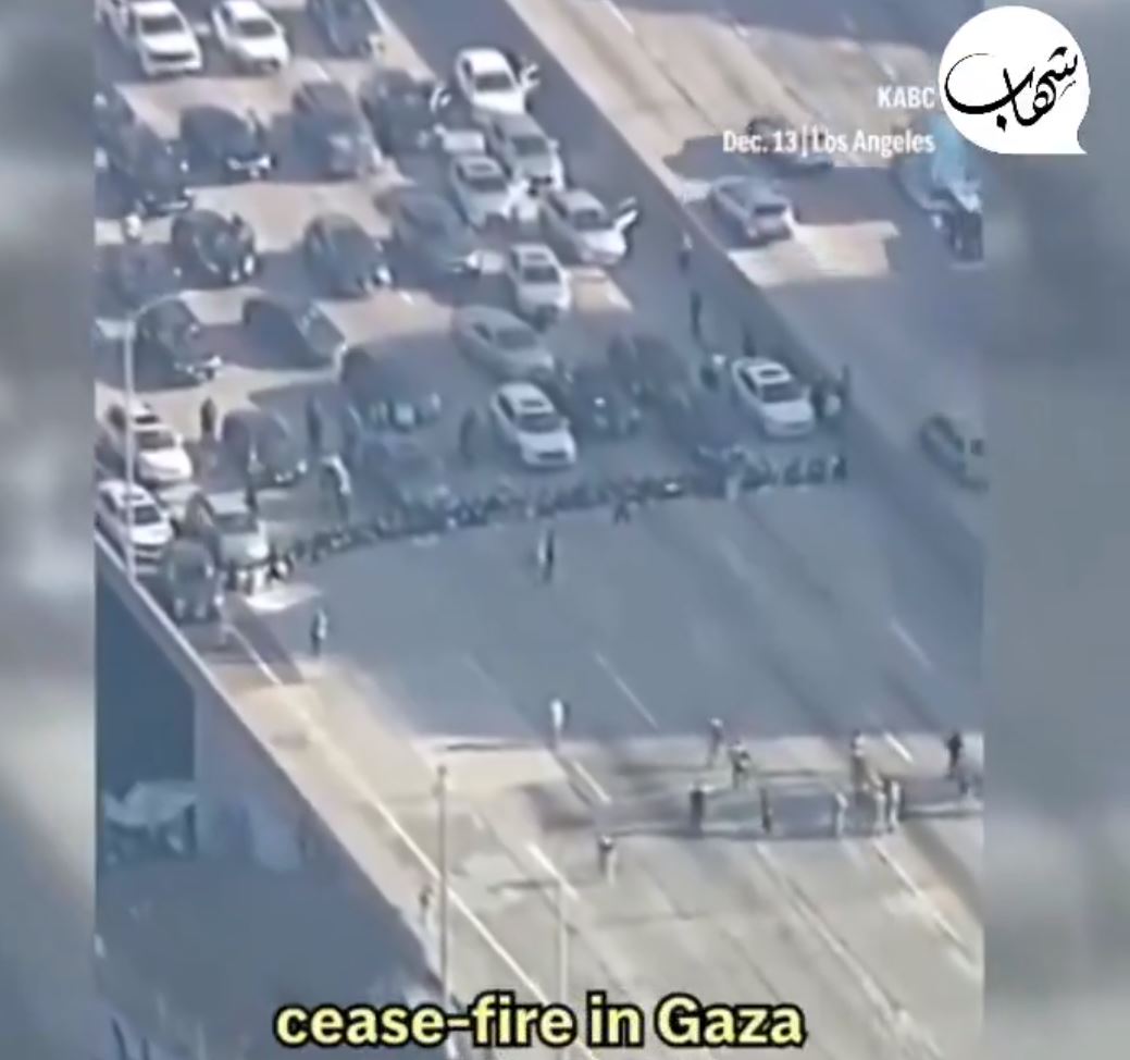 Video: Pro-Palestine protesters block a road in Los Angeles against Israeli aggression on Gaza