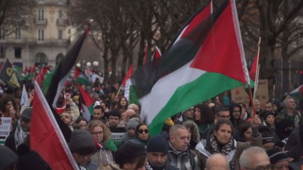 Thousands of pro-Palestine demonstrators march for Gaza ceasefire in Lyon, France